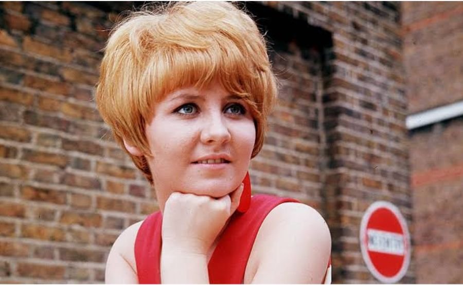 Lulu Singer British: How a Scottish Singer Became a Global Icon